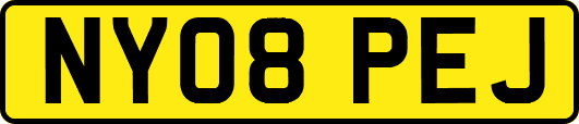 NY08PEJ