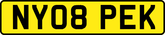NY08PEK