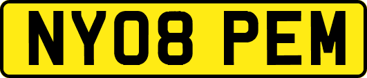 NY08PEM