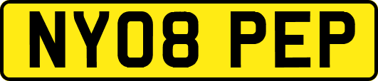NY08PEP