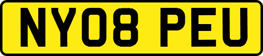 NY08PEU