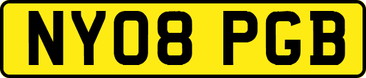 NY08PGB