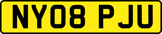 NY08PJU