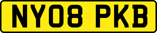 NY08PKB