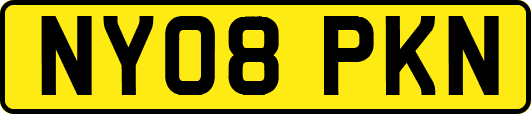 NY08PKN