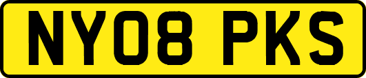 NY08PKS