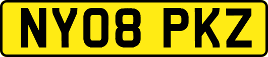 NY08PKZ