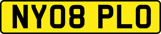 NY08PLO