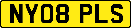 NY08PLS