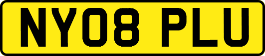 NY08PLU