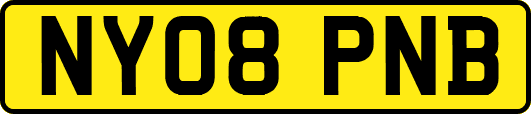 NY08PNB