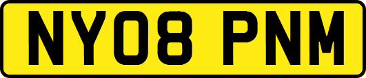 NY08PNM