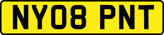 NY08PNT