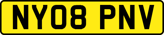 NY08PNV
