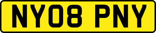 NY08PNY