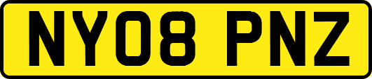 NY08PNZ