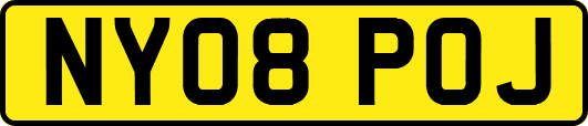 NY08POJ