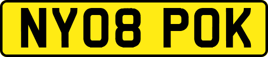 NY08POK