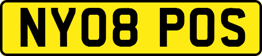 NY08POS