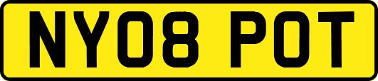 NY08POT