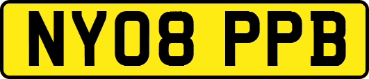 NY08PPB