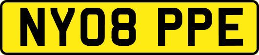 NY08PPE