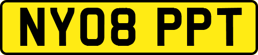 NY08PPT