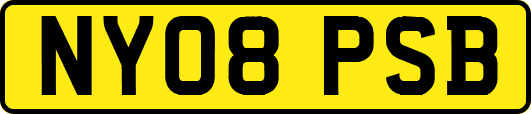 NY08PSB