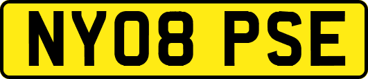 NY08PSE