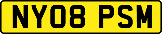 NY08PSM
