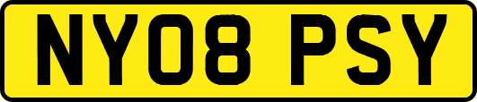 NY08PSY