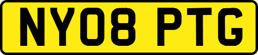 NY08PTG