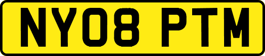 NY08PTM
