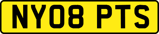 NY08PTS