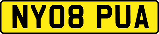 NY08PUA