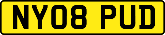 NY08PUD
