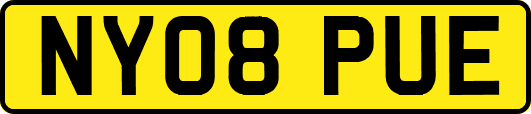 NY08PUE