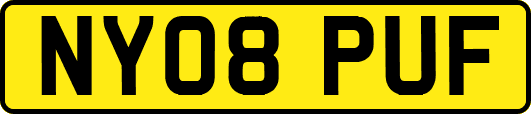 NY08PUF
