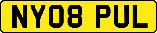 NY08PUL