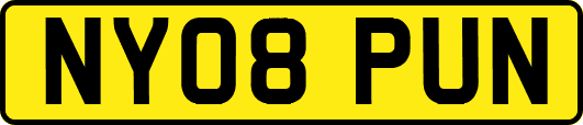 NY08PUN