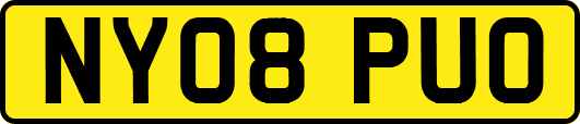NY08PUO