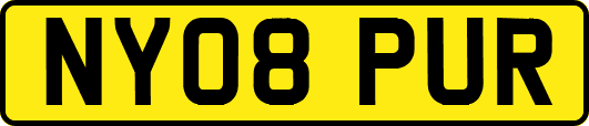 NY08PUR
