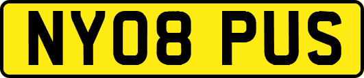 NY08PUS