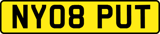 NY08PUT