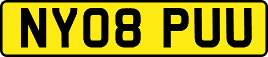 NY08PUU