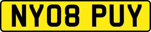 NY08PUY