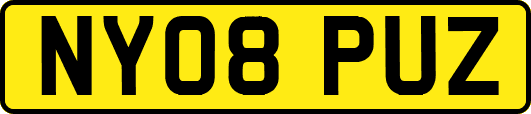 NY08PUZ