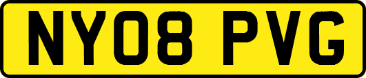 NY08PVG