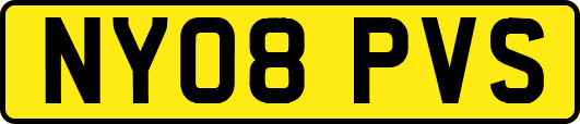 NY08PVS