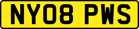 NY08PWS
